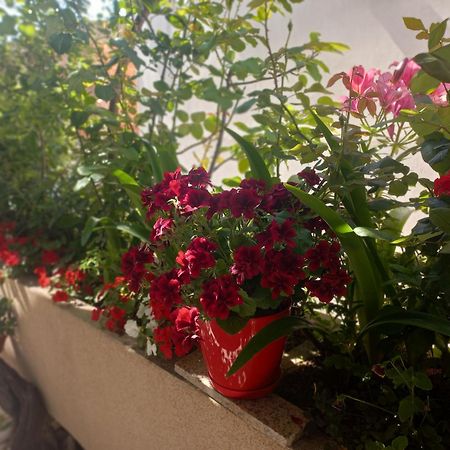 Apartments Gazi Ulcinj Eksteriør bilde